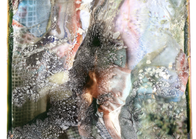 Getting Technical: Alternative Photographic Processes